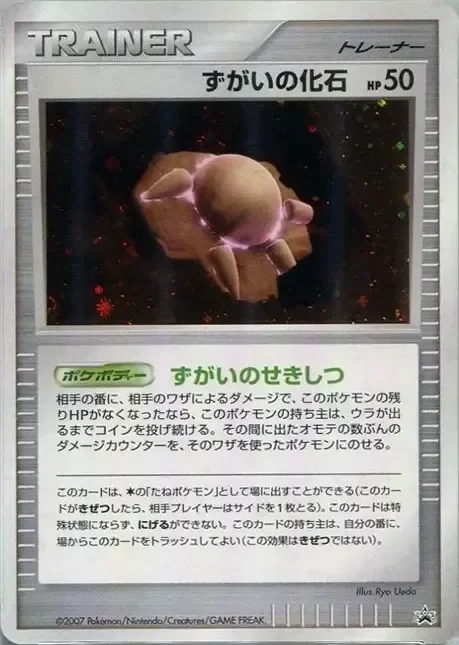 Skull Fossil 「MP No. 248」「JP」